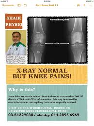 Mendapat pengiktirafan dan dirasmikan menjadi bandaraya pada tahun 2000. Shaik Physiotherapy Centre In Shah Alam Malaysia Read 1 Review