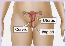 Finding cervical cancer often starts with an abnormal hpv (human papillomavirus) or pap test result. Making Sense Of Your Pap And Hpv Test Results