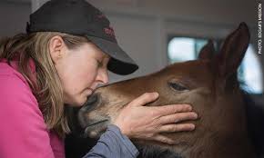 7 animals who are blissfully unaware of anything outside their happiness  bubble