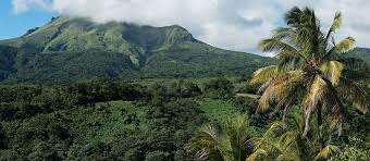 Un site d'informations interactif dédié aux activités culturelles et artistiques de la martinique aux buts multiples : Der Pfad Route De La Trace Auf Martinique