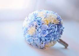 Heute tragen vor allem unverschleierte bräute gerne blüten, blätter oder bänder im haar, schlicht oder elegant, natürlich oder extravagant gestylt. Hochzeitsblumen Bedeutung Der Blumen Zur Hochzeit