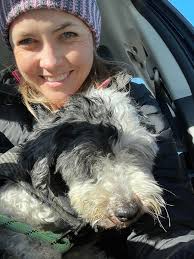 Update-owner found. ‼️LOST‼️ dog found in Rhostryfan, please help me find  the owner, he is wet, cold and quite distressed. Thank you!!