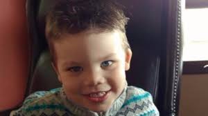 Disney has killed over 200 'nuisance' alligators in ten years