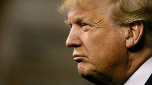 Bildergebnis für donald trump