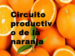 Mi media naranja my better half. Calameo Pppt Naranjas