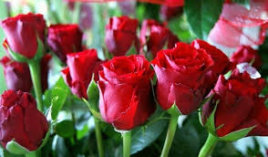 Największy zbiór życzeń na imieniny dla mamy. Dzien Matki 2021 Najpiekniejsze Zyczenia Dla Mamy Proste Ale Wzruszajace Wiersze Na Dzien Mamy Krotki Wierszyk Dla Mamy 26 05 21 Express Ilustrowany