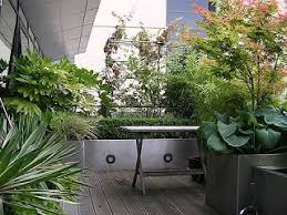 Pamba Boma Going Green Balcony Gardens Small Balcony Garden Backyard Garden Layout Backyard Garden