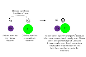 This bond forms through the complete transfer of electrons from one atom to. How Do Atoms Form An Ionic Bond