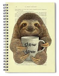 Check out all the cute sloths, funny sloths, baby sloths, sloth memes, sloth images, and sloth pictures! Cute Baby Sloth With Coffee Mug Slow Down Quote Spiral Notebook For Sale By Madame Memento