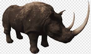 Conan Exiles Rhinoceros Horn Bison Animal Rhino Mammal Food Animals Png Pngwing