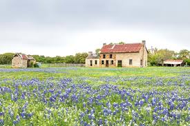 A Wildflower Road Trip Will Show You a Different Side of This State