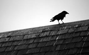 Discover the ultimate collection of the top 20 samurai wallpapers and photos available for download for free. Hd Wallpaper Roof Minimalism Raven Wallpaper Flare
