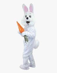 Check spelling or type a new query. Real Easter Bunny Png Easter Bunny Costume Png Transparent Png Kindpng