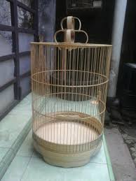 We did not find results for: Jual Sangkar Branjangan Cungkok Di Lapak Aa Sangkar Solo Bukalapak