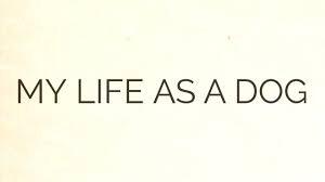 My Life as a Dog