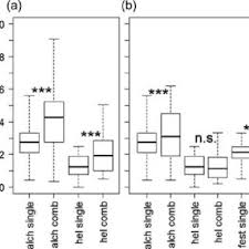 Image result for Alchemilla johnstonii