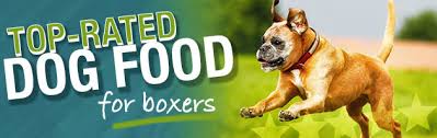 Best Dog Foods For Boxers Puppy Adult Senior Dog