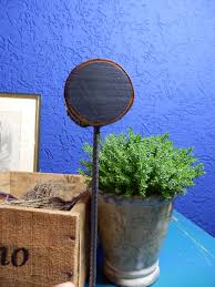 Pin On Garten