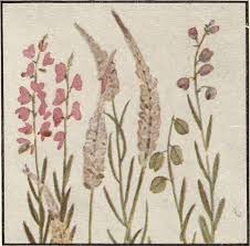 Image result for Vernonia amblyolepis