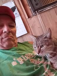 Why do pets interrupt coloring activities?