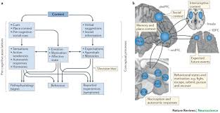 Image result for Placebo Effect