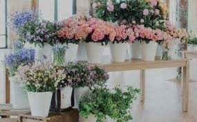 Maybe you would like to learn more about one of these? Mayesh Wholesale Florist Reviews In Carlsbad Glassdoor