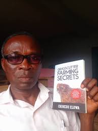 NA HERE WE GO KNOW WHO COPY HIM FELLOW STUDENT PASTE AM FOR HOM OWN BOOK