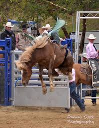 Rodeo Guide Gold Country Pro Rodeo