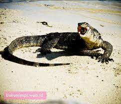 Tafsir dan ramalan dari kode alam biawak maupun mimpi melihat biawak masuk ke rumah berdasarkan buku mimpi erek erek adalah anda akan sakit dalam tempo dekat ini. Angka Mimpi Biawak Versi Erek Erek 2d 3d 4d Buku Mimpi
