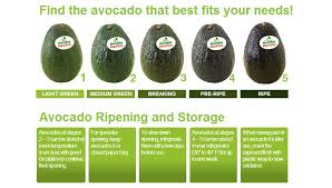 Quick Guide To Ripe Avocados Avocado Health Benefits Ripe Avocado Avocados From Mexico