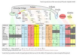 Ipa Chart And Mouth Map Speech Language Therapy Ipa