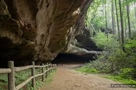 The Glow Worm Caves at Pickett State Park, TN