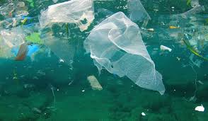 The Causes And Effects Of Ocean Pollution Ocean Pollution Ocean Garbage Patch Pollution
