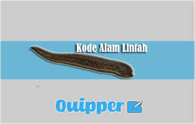 Maybe you would like to learn more about one of these? Kode Alam Lintah 2d 3d 4d Primbon Dan Erek Erek
