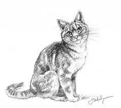 Make sure your image or photo is: Kitten Kitten How To Draw A Cat Novocom Top