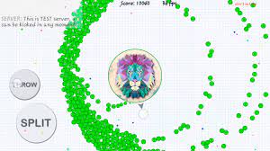 Check spelling or type a new query. Blob Io Appid 1050290 Steamdb