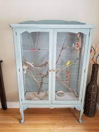 How to easily build an aviary, bird cage, pigeon loft, dovecote, flight pen and more! My Very First Diy Indoor Aviary That I Repurposed From An Old China Cabinet Branches Are Natural From The Trees Diy Bird Cage Bird Cage Ideas Bird Cage Decor