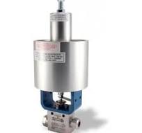 Needle Valves