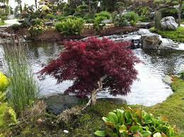 Japanese Gardens For Small And Larger Spaces