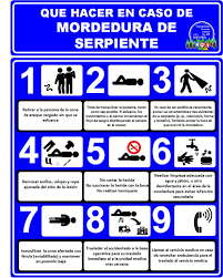 Serpientes y escaleras rey es una versión digital para dispositivos android. Riegos Biologicos Mordedura De Serpientes En El Ambito Forestal Y Agricola Protocolo De Que Salud Y Seguridad Seguridad Y Salud Laboral Reglas De Seguridad