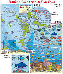 Great Abaco Island Fish Card Frankos Fabulous Maps Of