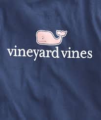Kids Vineyard Vines Logo Short Sleeve Tee