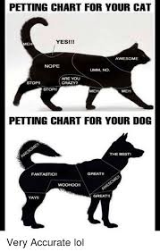 Pettingchart For Your Cat Yesi Awesome Nope Umm No Are