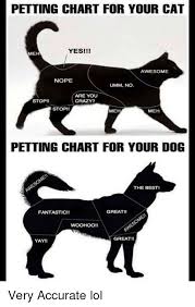 pettingchart for your cat yesi awesome nope umm no are