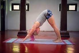 The jivamukti yoga method is a proprietary style of yoga created by david life and sharon gannon in 1984. Kushi Yoga Foundation Mysore Karnataka India