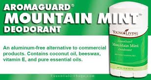 Aromaguard Mountain Mint Deodorant Buy Here Deodorant Pure Essential Oils Natural Deodorant