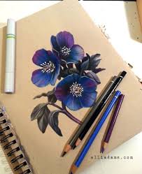 Black Hellebore And Crescent Moon On Toned Paper With Colored Pencils Markers And Metallic Ink I Used The Str Flower Drawing Prismacolor Art Color Pencil Art All are free to download photoshop pencil brush sets are useful when you need to add some sketched or hand drawn effects in your designs. color pencil art