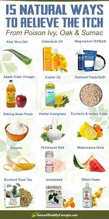 15 Natural Home Remedies For Poison Ivy Oak Sumac Healthy Concepts With A Nutrition Bias Poison Ivy Remedies Natural Home Remedies Homemade Remedies