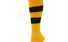 Pin By Princess Marie On La Cheetahs Sport Socks Knee High Sports Socks Striped Knee High Socks