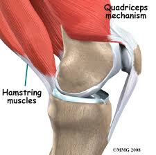 Recognize the symptoms of muscle cramps. Quadriceps Tendonitis Richmond Va Knee Surgery Richmond